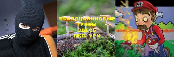 крисы Алзамай
