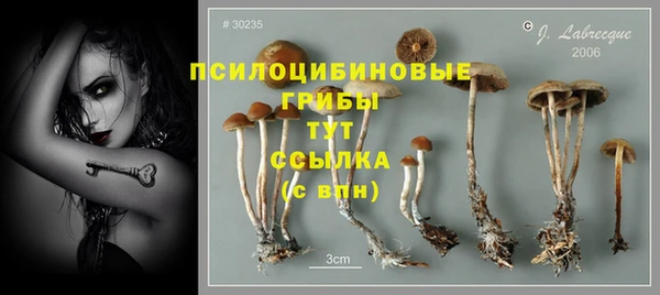 крисы Алзамай