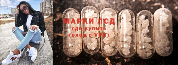 крисы Алзамай
